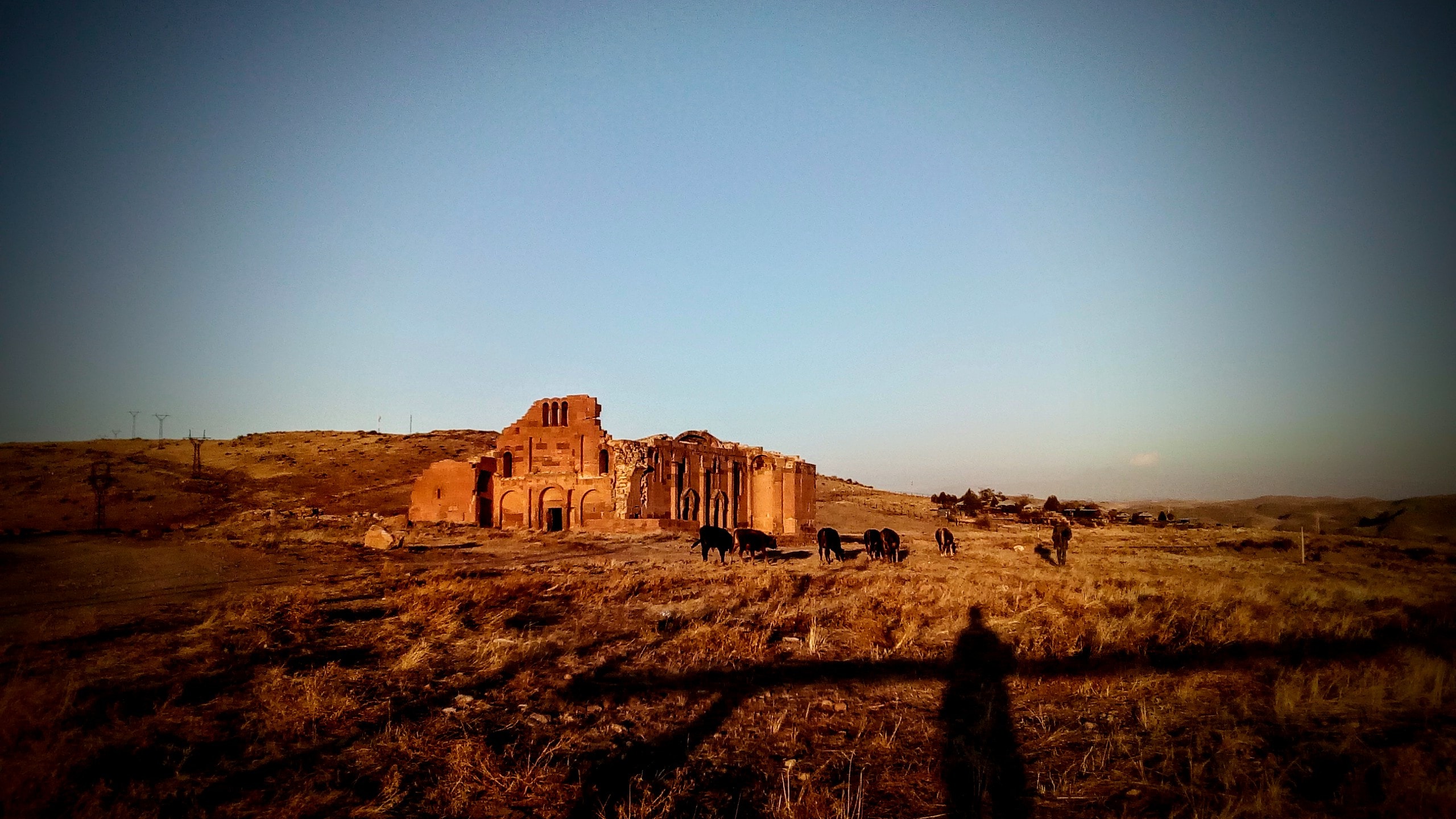 Ruine einer Kirche auf einer Hochebene bei Abendlicht mit weidenden Rindern.